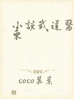 小说武道医王吴东