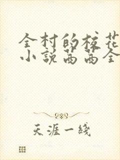 全村的校花妹妹小说茜茜全文阅读封面