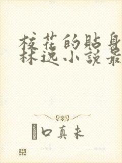 校花的贴身高手林逸小说最新章节在线