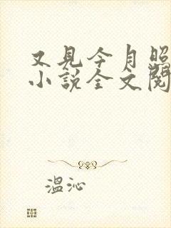 又见今月照故人小说全文阅读