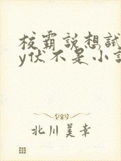 校霸说想试试by伏不是小说免费阅读