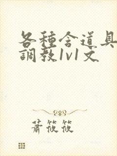 各种含道具高h调教1v1文