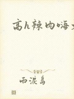 高h辣肉嗨文