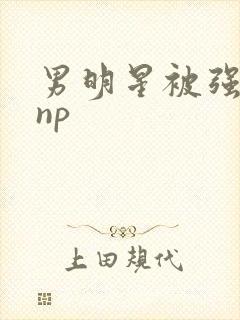 男明星被强h肉np