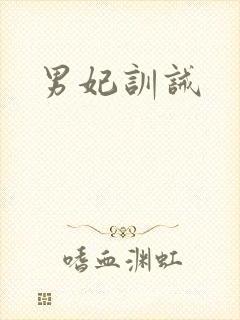 男妃训诫封面