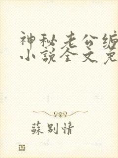 神秘老公缠上我小说全文免费阅读封面