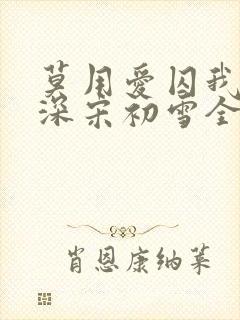 莫用爱囚我傅寒深宋初雪全文阅读封面