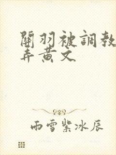 关羽被调教h玩弄黄文封面