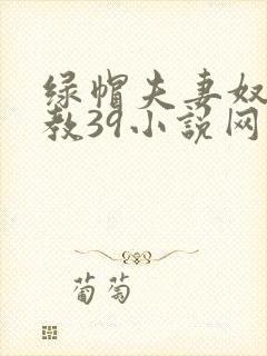 绿帽夫妻奴受调教39小说网