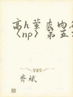 高h荤爽肉欲文〈np〉第五次