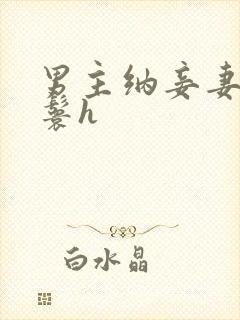 男主纳妾妻子丫鬟h封面