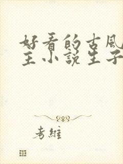 好看的古风双男主小说生子