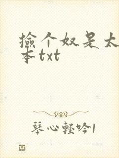 捡个奴是太子全本txt