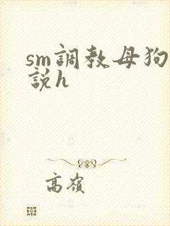 sm调教母狗小说h