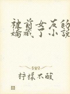 被前女友的姑姑娇藏了小说免费阅读