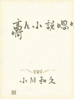 高h小说嗯啊嗯啊