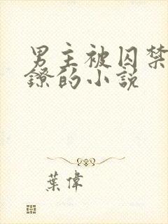 男主被囚禁戴脚镣的小说