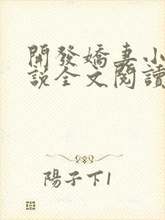 开发娇妻小楠小说全文阅读最新章节封面