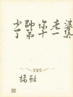 少帅你老婆又跑了第十一集