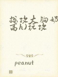 总攻大胸奶汁(高h)玩攻