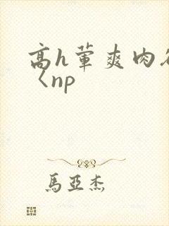 高h荤爽肉欲文〈np