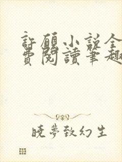 许愿小说全文免费阅读笔趣阁封面