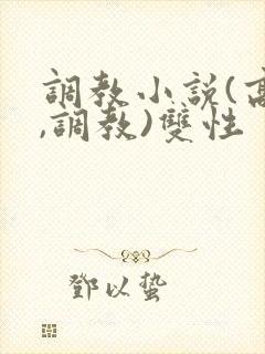 调教小说(高h,调教)双性封面