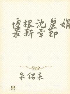 傻根沈丽娟结局最新章节