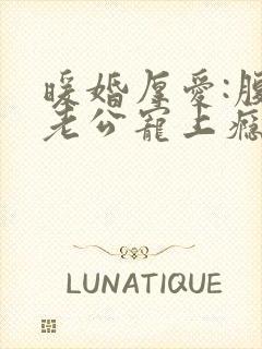 暖婚厚爱:腹黑老公宠上瘾小说