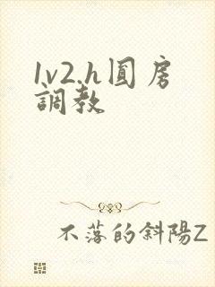 1v2.h圆房调教