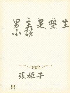 男主是双生子的小说