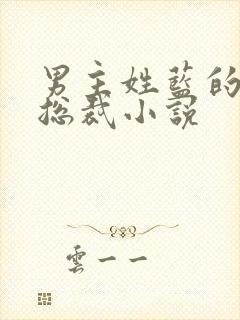 男主姓蓝的霸道总裁小说