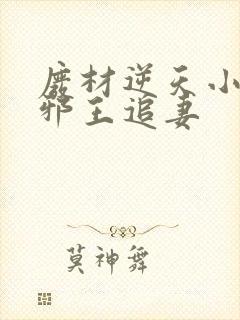 废材逆天小姐之邪王追妻