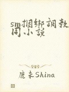 sm捆绑调教女同小说