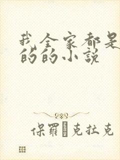 我全家都是穿来的的小说