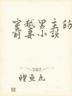 穿越男主的炮灰前妻小说封面