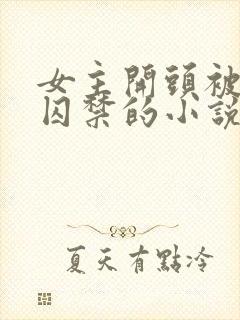 女主开头被锁链囚禁的小说