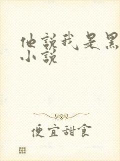 他说我是黑莲花小说