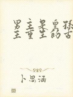 男主是皇孙,女主重生的古言