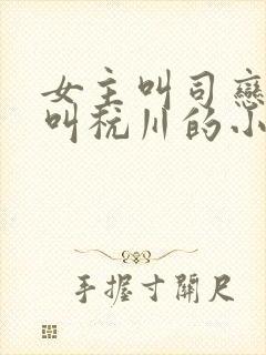 女主叫司恋男主叫杭川的小说名字封面