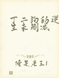 丁二狗的逆袭人生未删减
