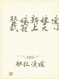 替嫁新娘亿万总裁宠上天 小说