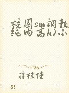校园sm调教(纯肉高h)小说