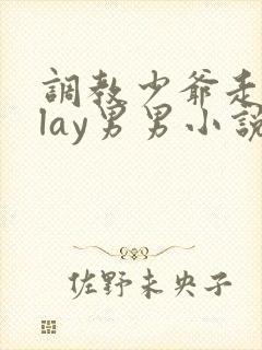 调教少爷走绳play男男小说封面