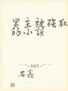 男主被强取豪夺的小说