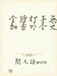 金牌打手无删减加番外全文阅读txt