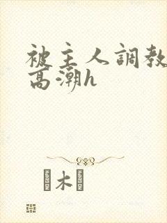 被主人调教当众高潮h