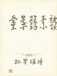 受是杀手被囚禁生子的小说产子小说