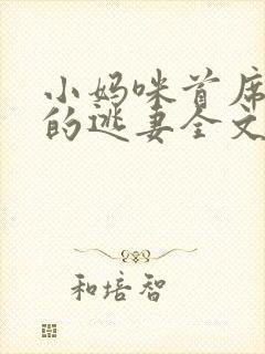 小妈咪首席总裁的逃妻全文免费阅读番外