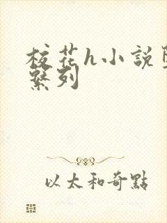 校花h小说堕落系列